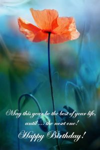 Best Birthday Wishes