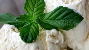 Honey Vanilla Ice Cream