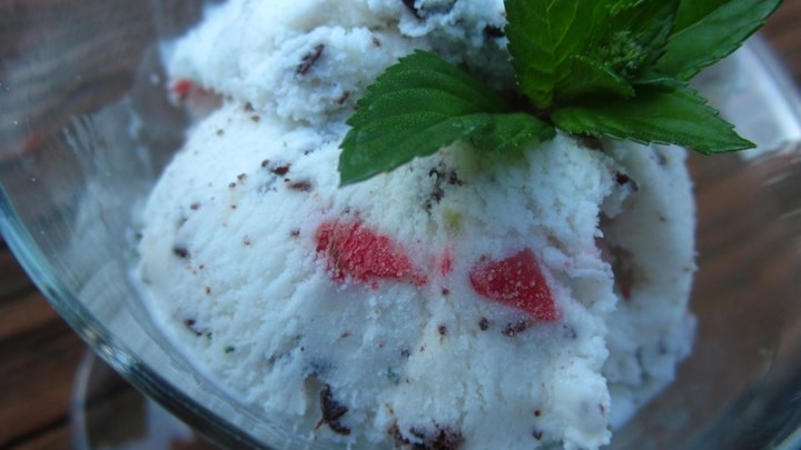 Mint Chocolate Chip Strawberry Ice Cream
