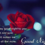 Heartfelt Good Night Messages