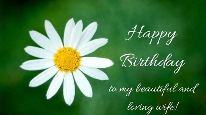 Birthday Wishes for your Wife